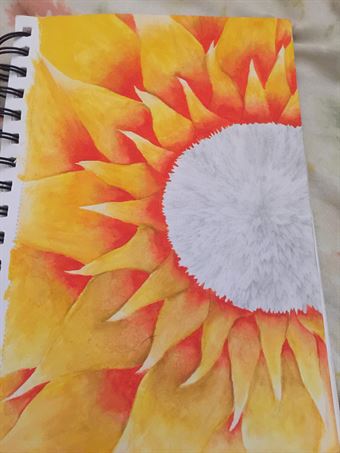 Fires of the sunflower 